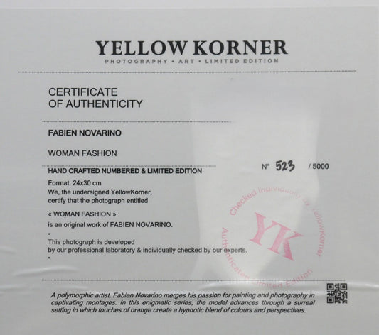 Fabien Novarino -Woman Fashion-Opera Numerata 523/5000 e Certificata-dettaglio