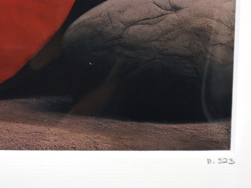 Fabien Novarino -Woman Fashion- Author's photo