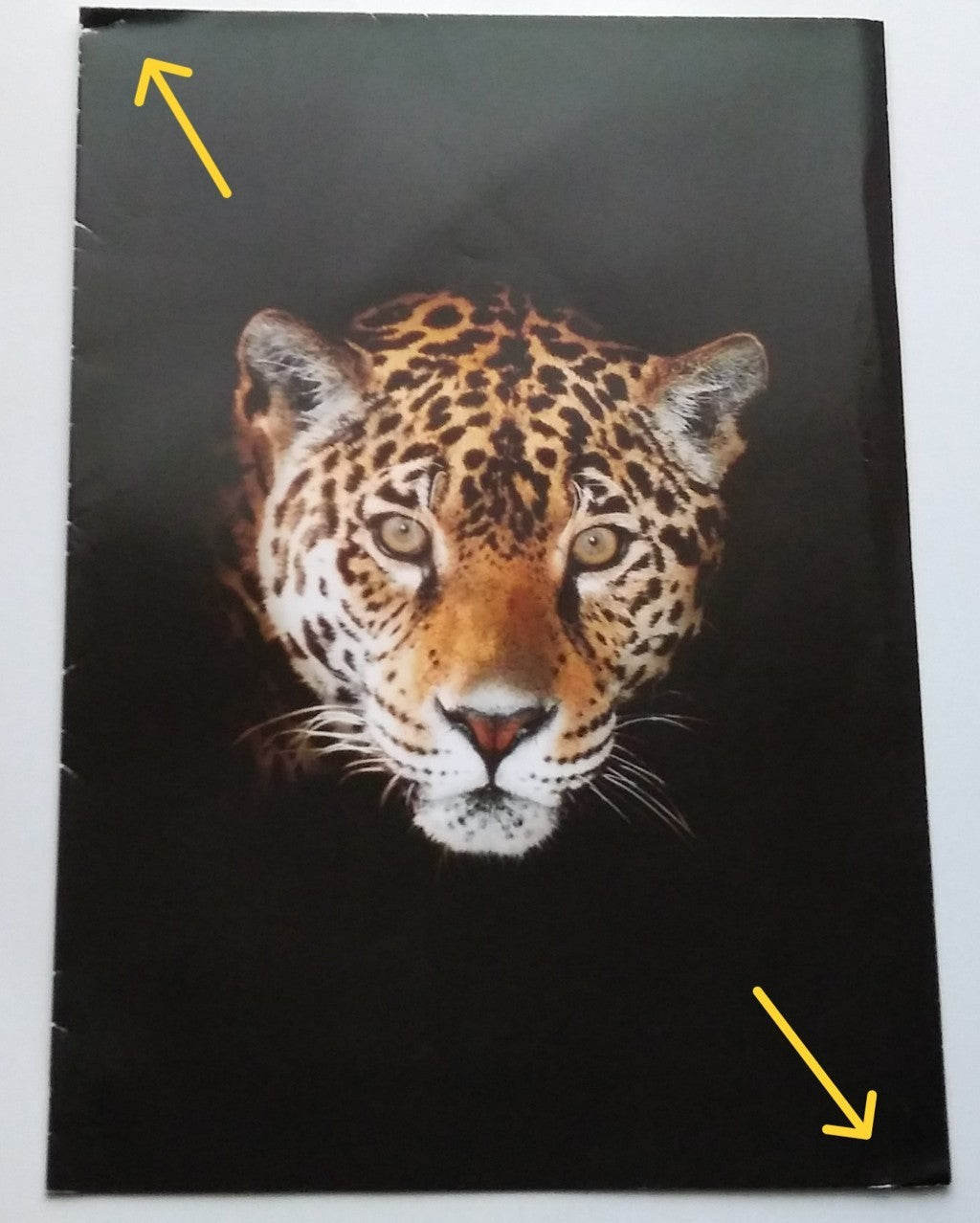 Lot de brochures/dépliants originaux Jaguar - Période : 1990-2000