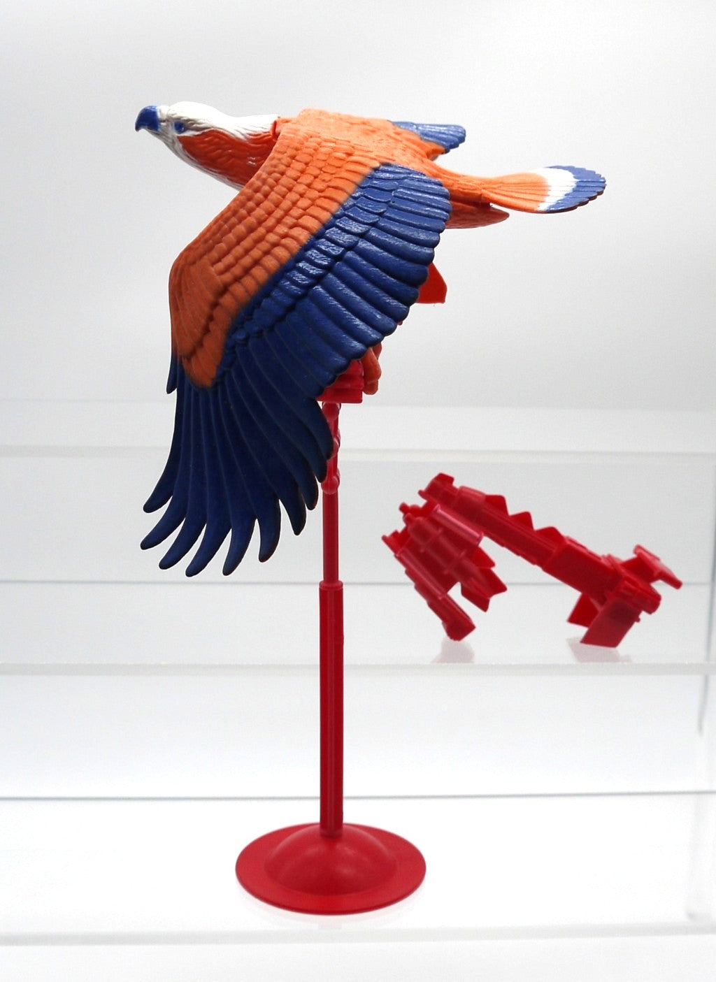 Masters of the Universe -ZOAR-Epoca:1981