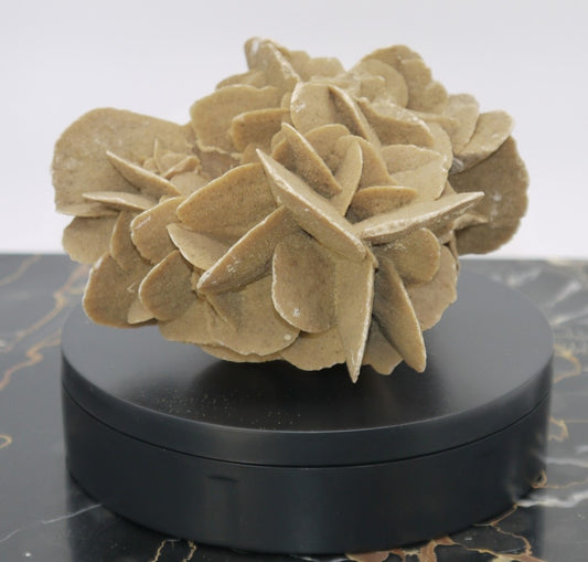 Algerian Desert Rose - Period: 1970