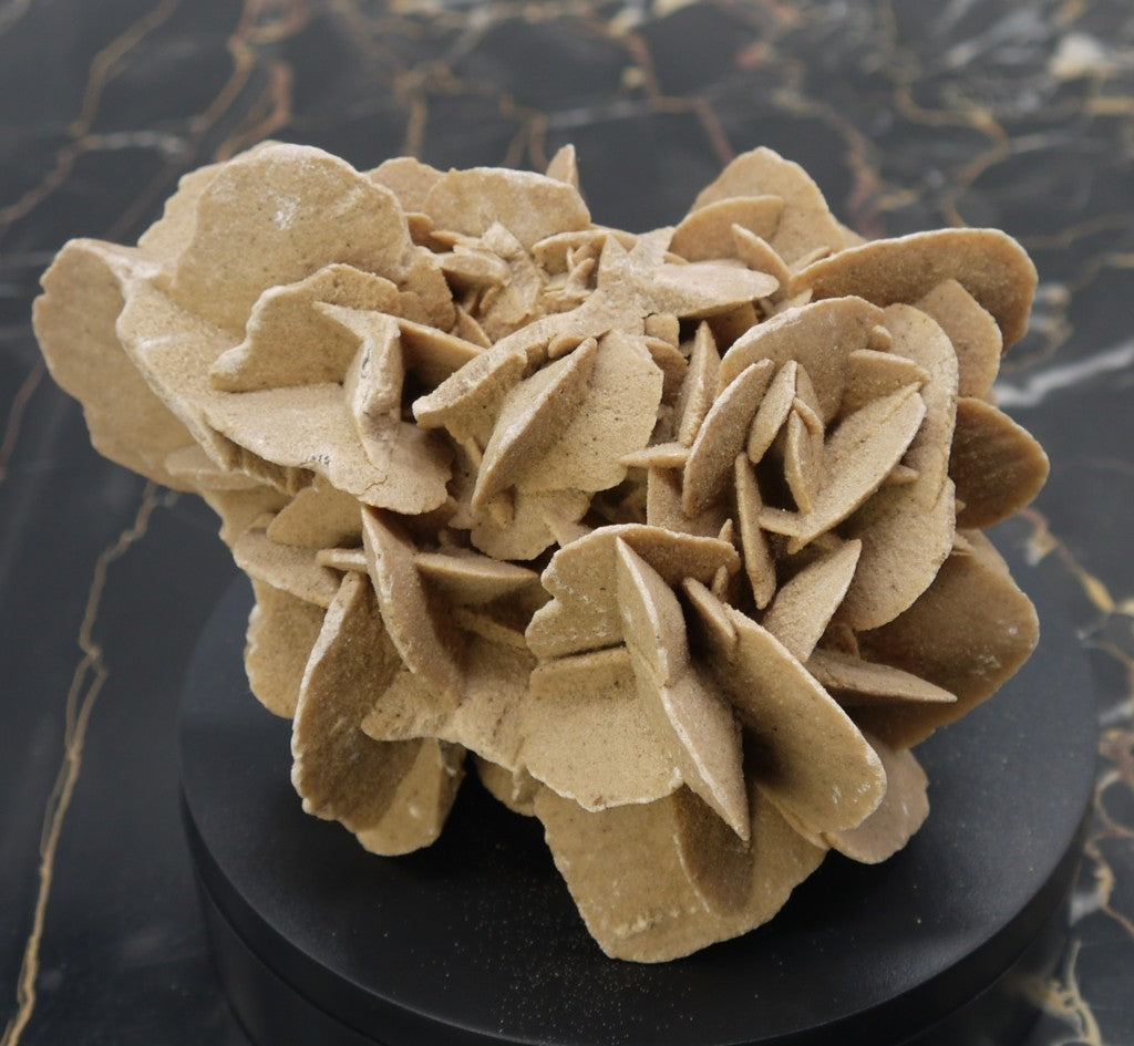 Algerian Desert Rose - Period: 1970