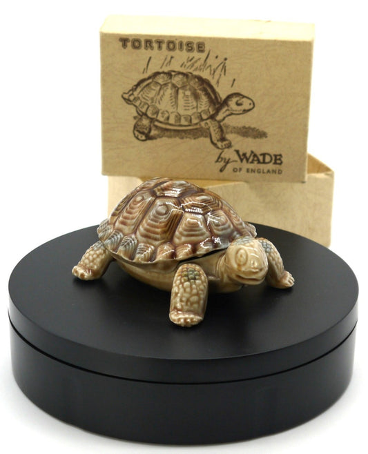 tortoise porcellana Wade of England
