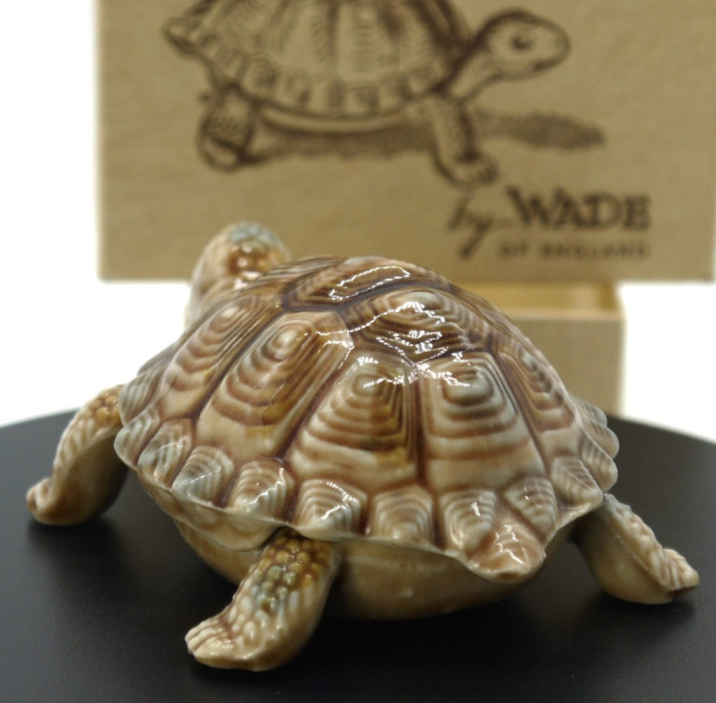 tortoise wade of england retro